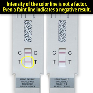 negative drug test results how to read