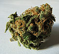 Marijuana Marijuana - Photo by Ryan Bushby