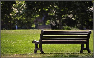 free vitamin d